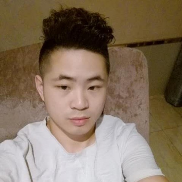 羽毛迎迷离的照片