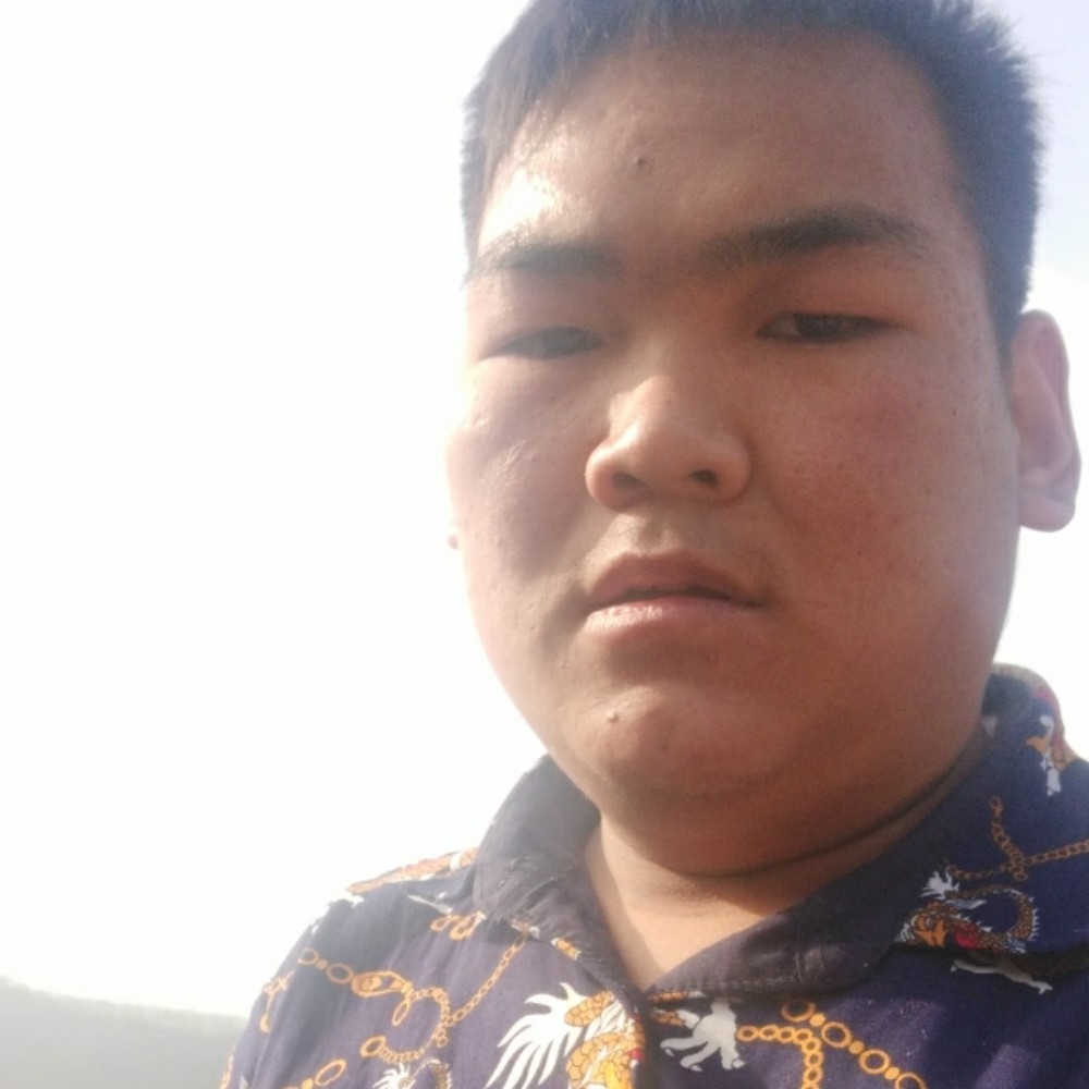 乐观有西牛的照片