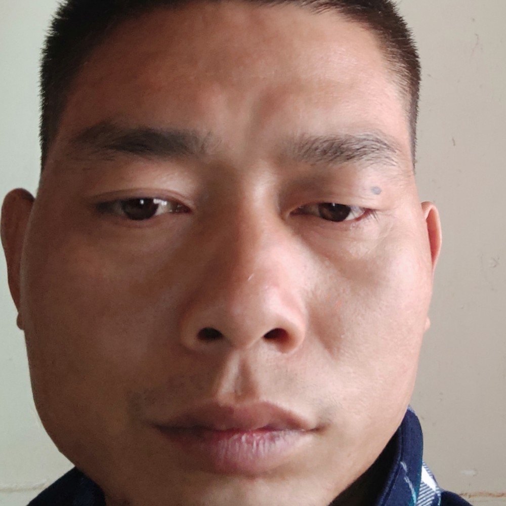 化羽务实的照片