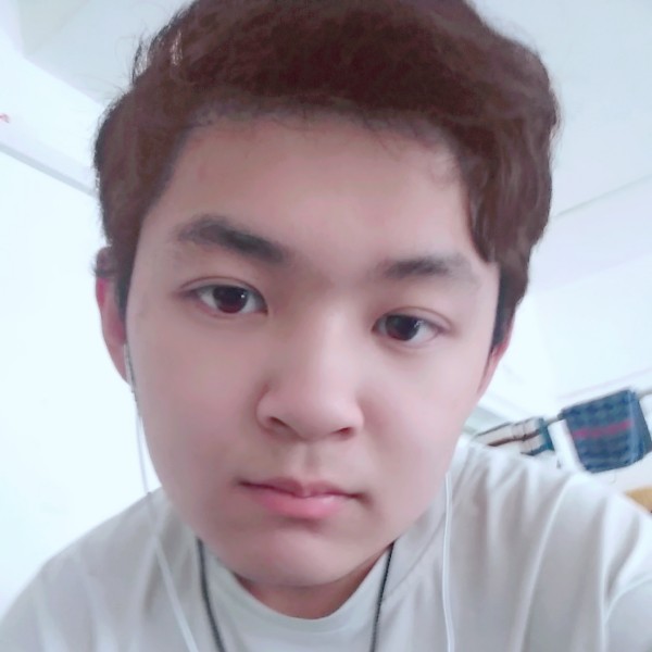 南鸢过时的照片