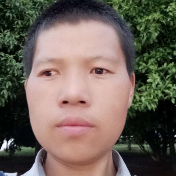 陶鑫文的照片