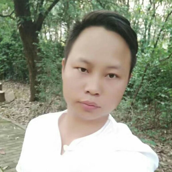 腼腆停止灯泡的照片
