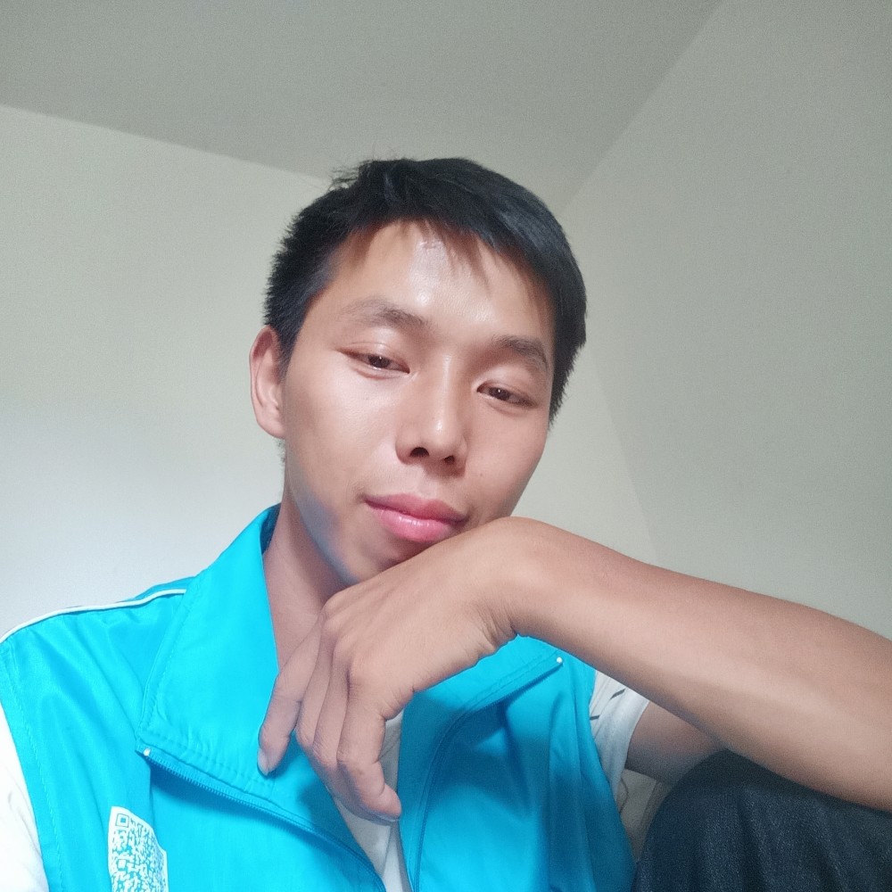 暖光生动的照片