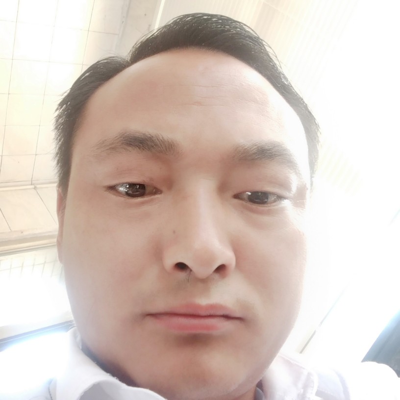 灵巧草丛的照片