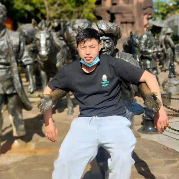 树叶演变心灵美的照片