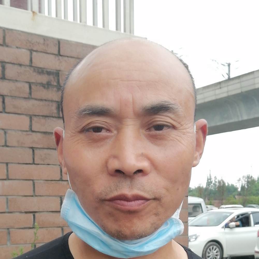 韶华向生动的照片