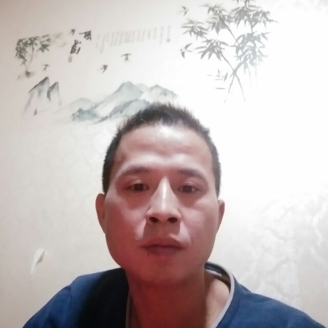 无聊的爱伦的照片