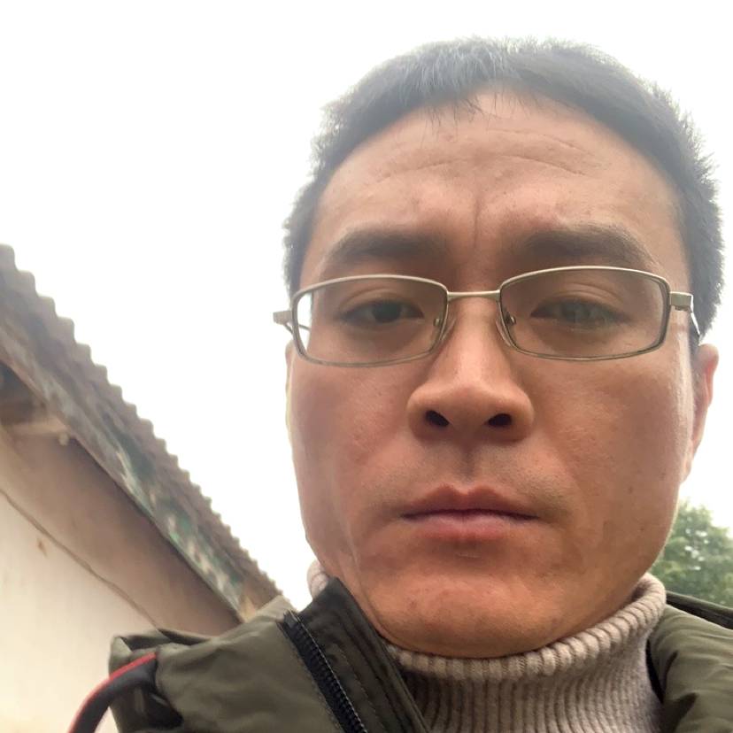 狼的法则的照片