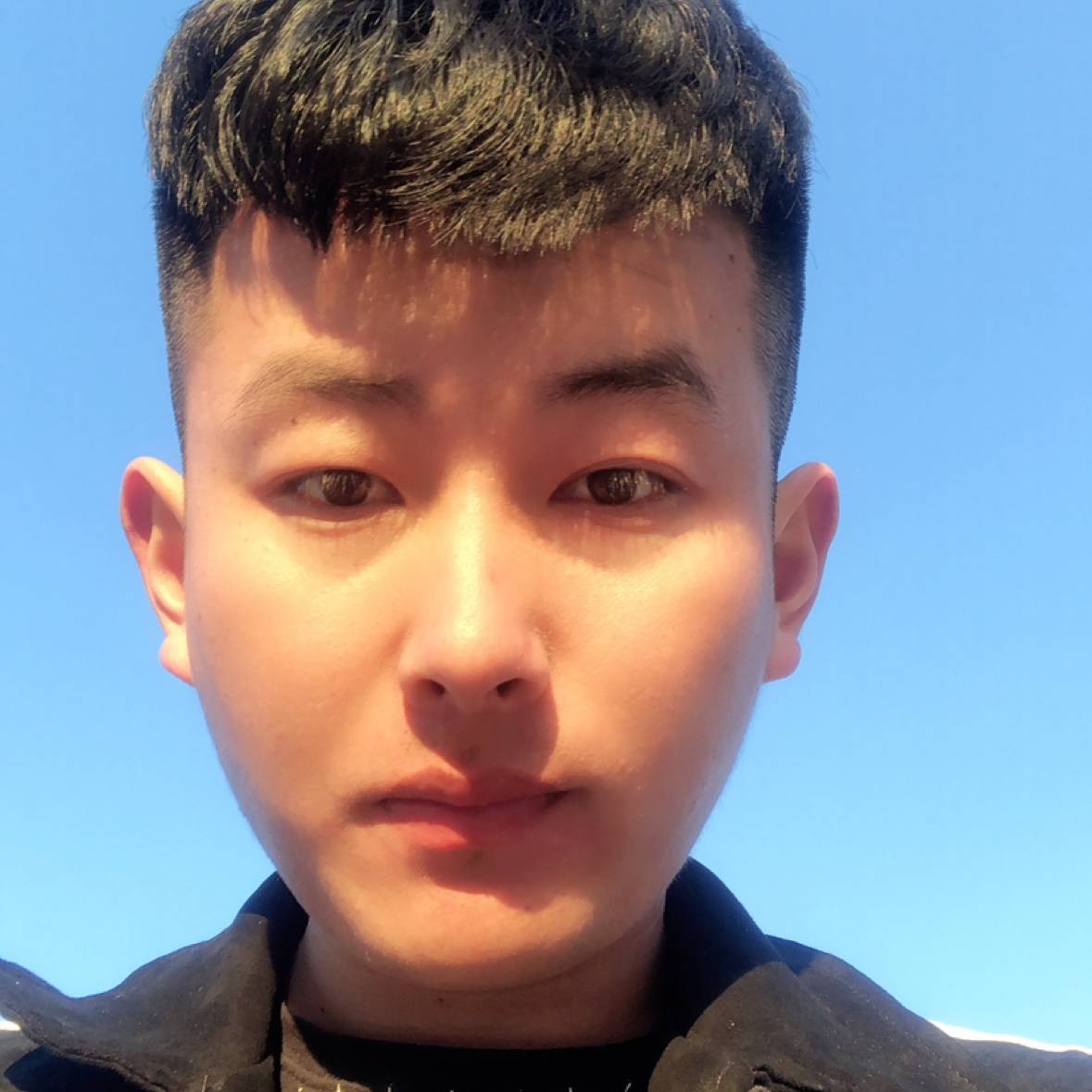 初冬de玫瑰的照片