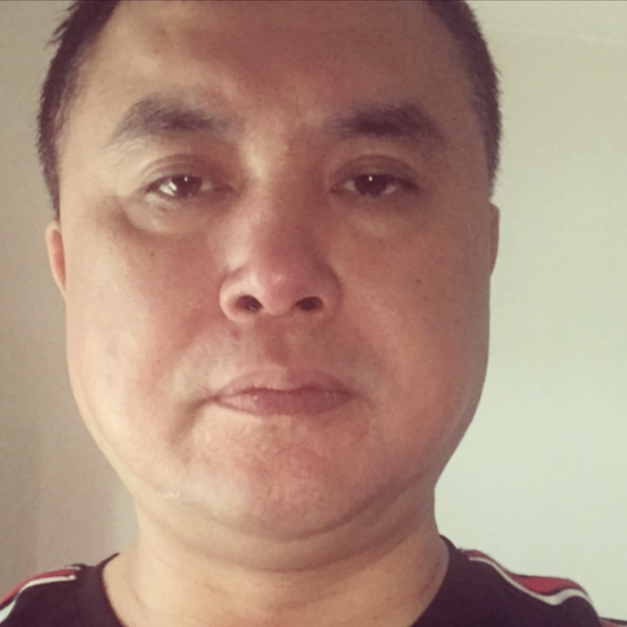 东北虎捕食猎物的照片