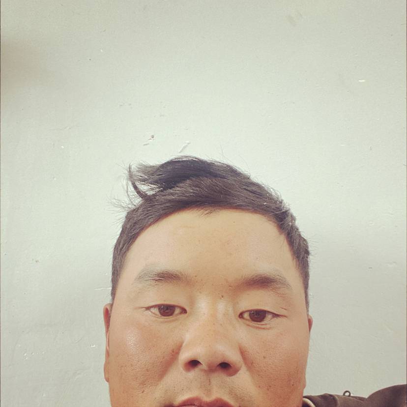 寒冷的数据线的照片