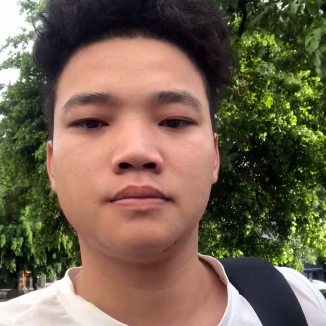 小蝴蝶洁净的照片