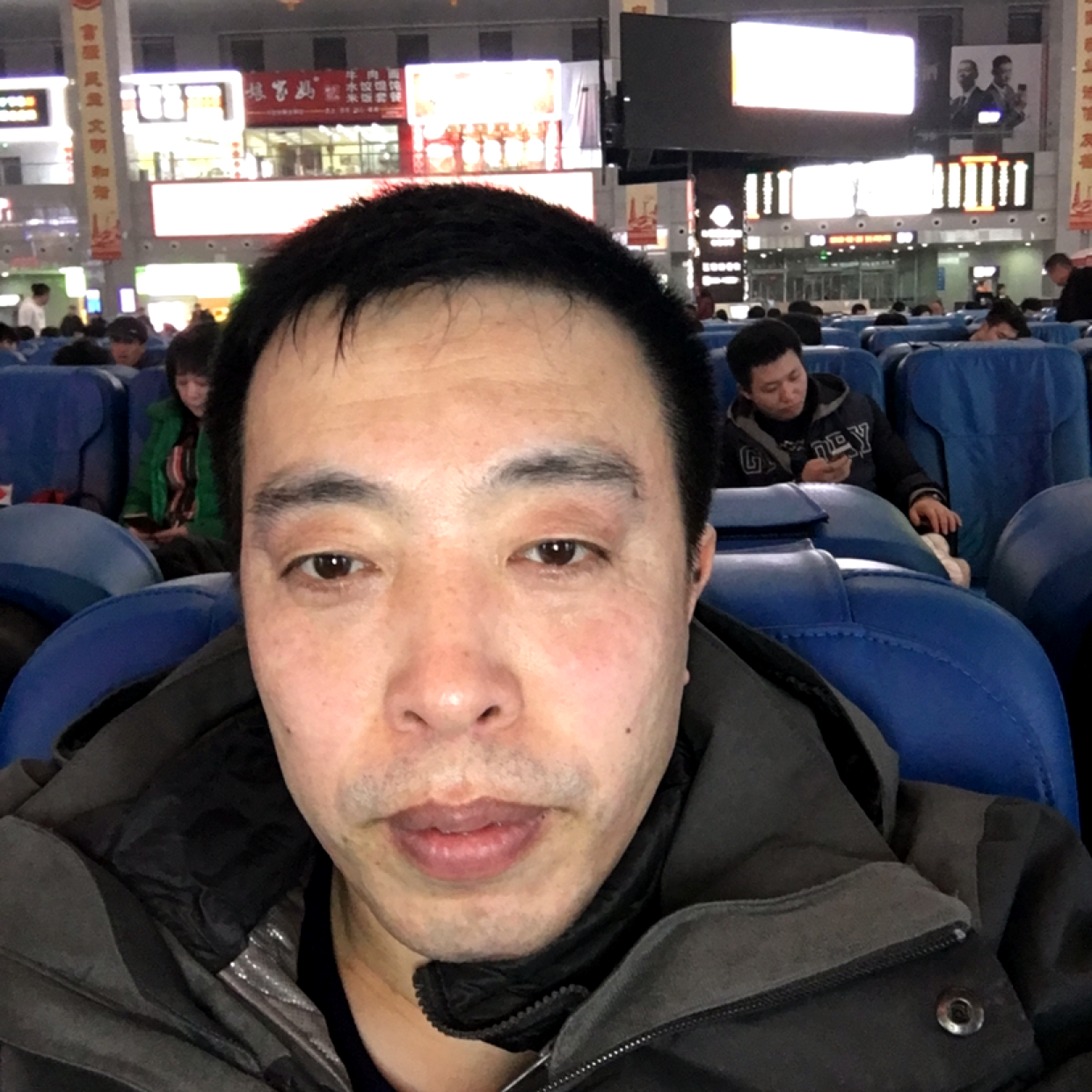 皓月牛的照片