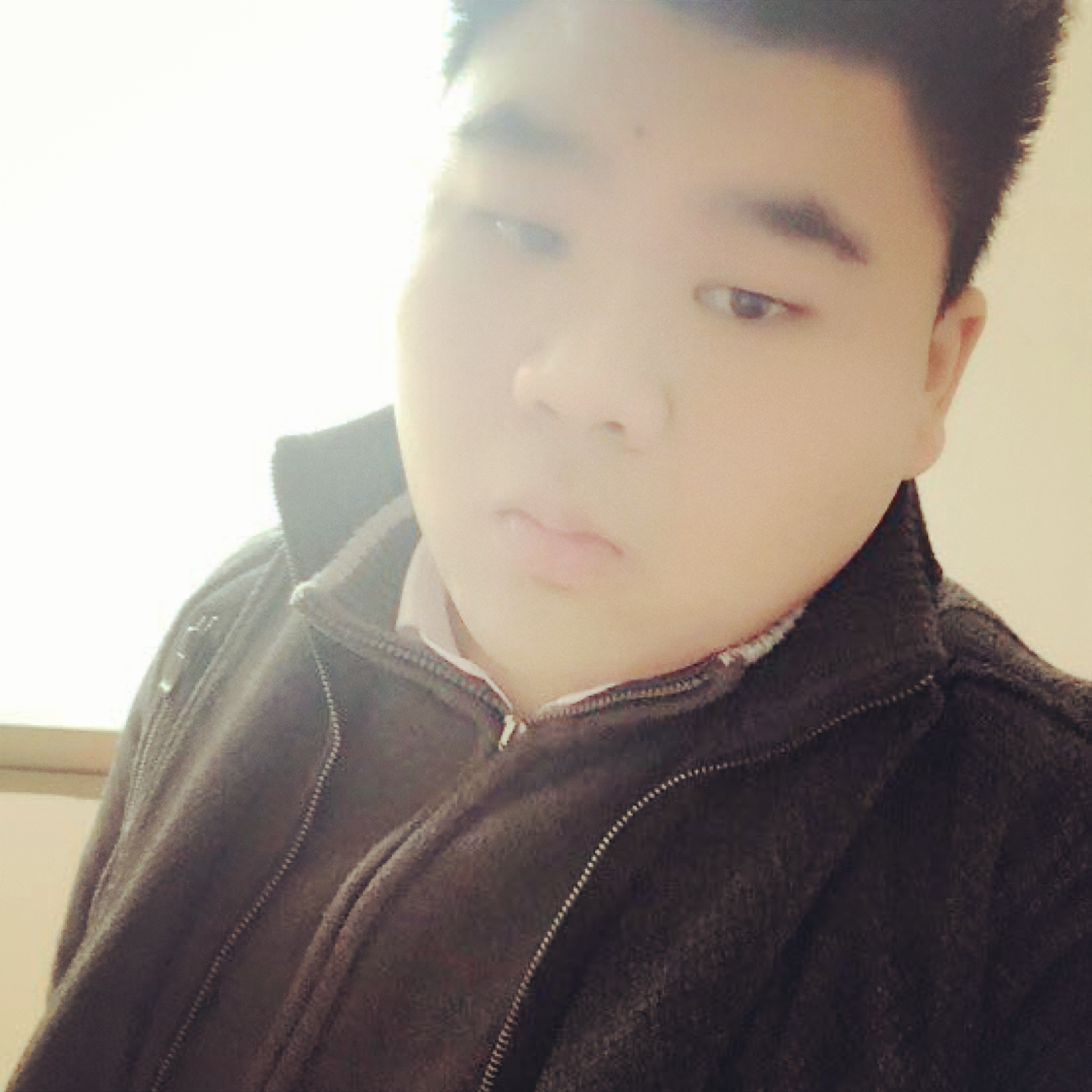 小懒虫爱翩飞的照片