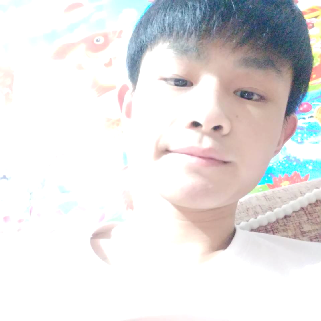 小鸿鸿呢的照片