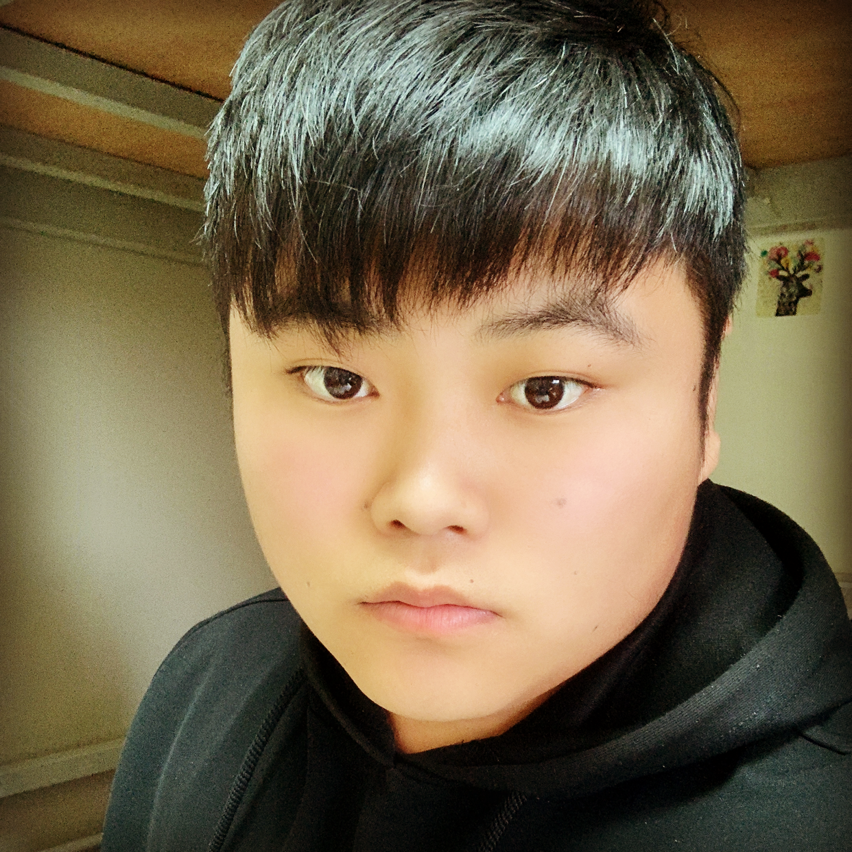 劉叁歲的照片