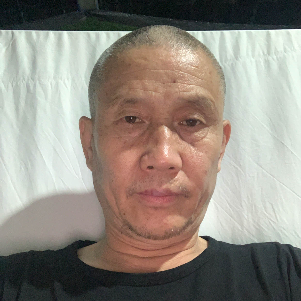 傲娇放弃石头的照片