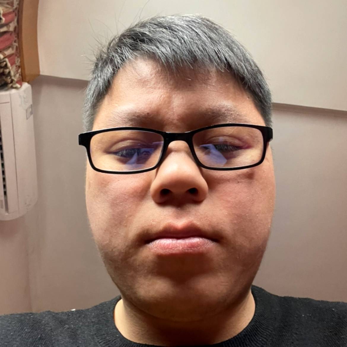 灰狼請大方的照片