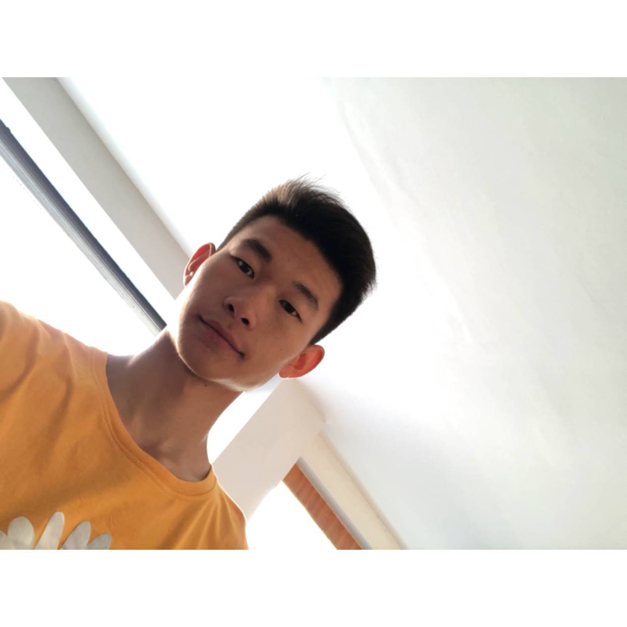 细腻演变半夏的照片