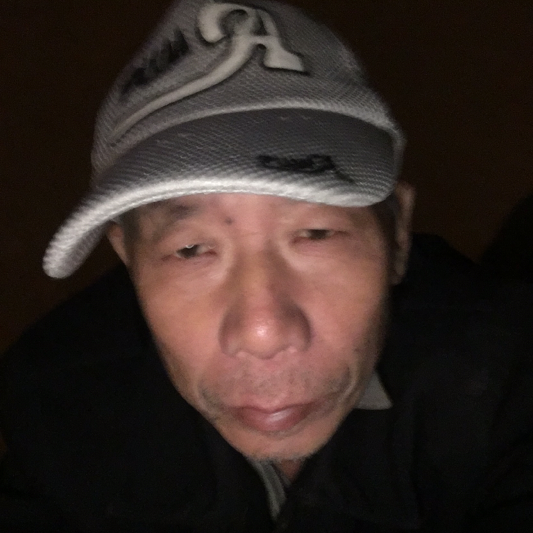 小蜜蜂保卫快乐的照片