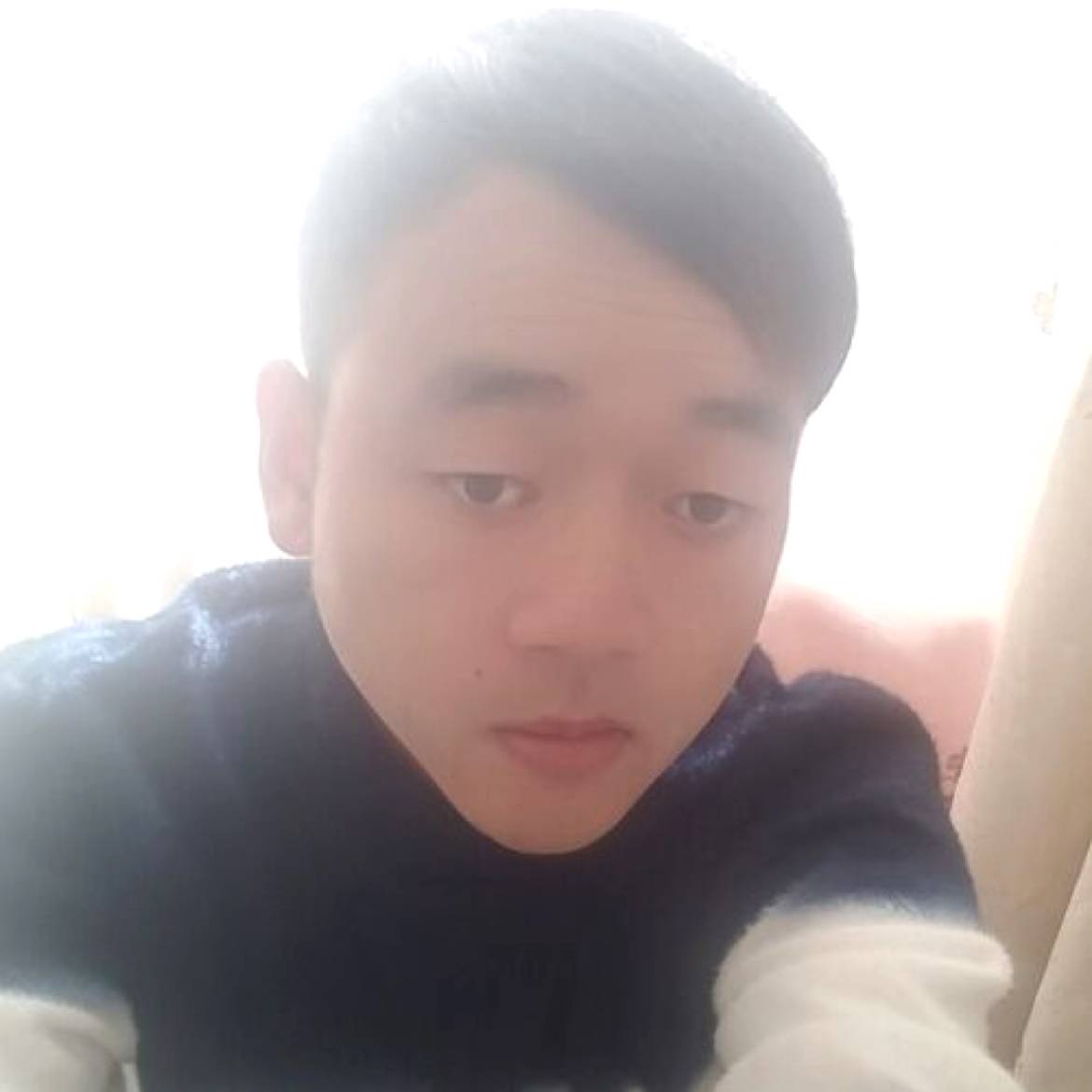 蚂蚁深拥安静的照片