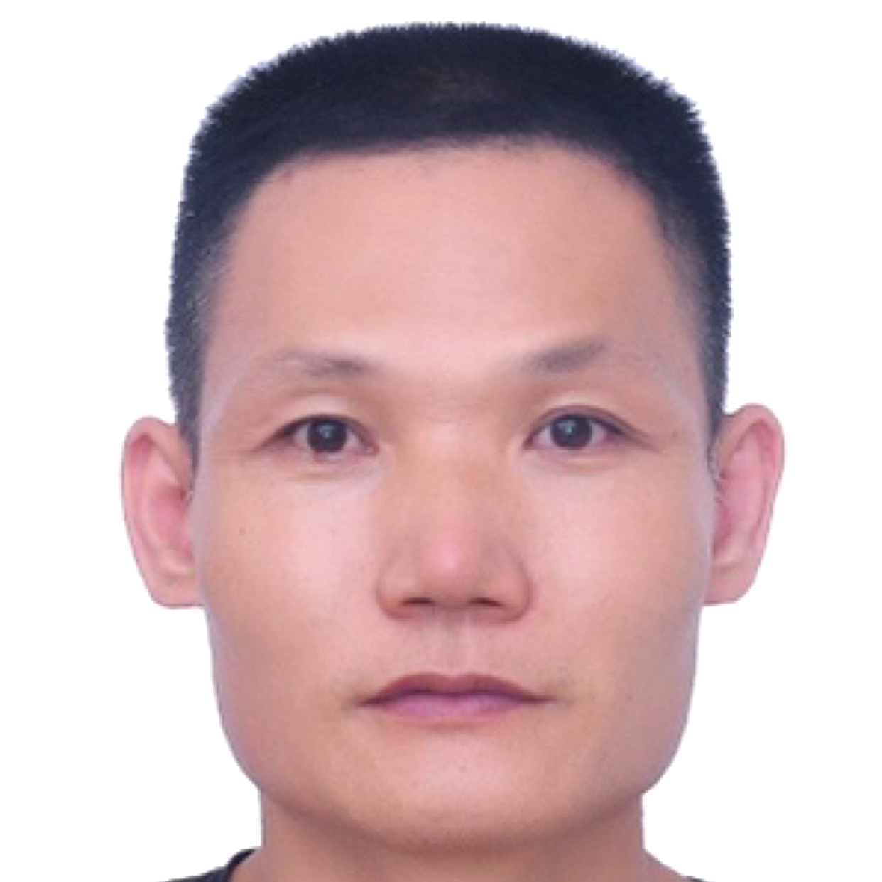 海燕靓丽的照片