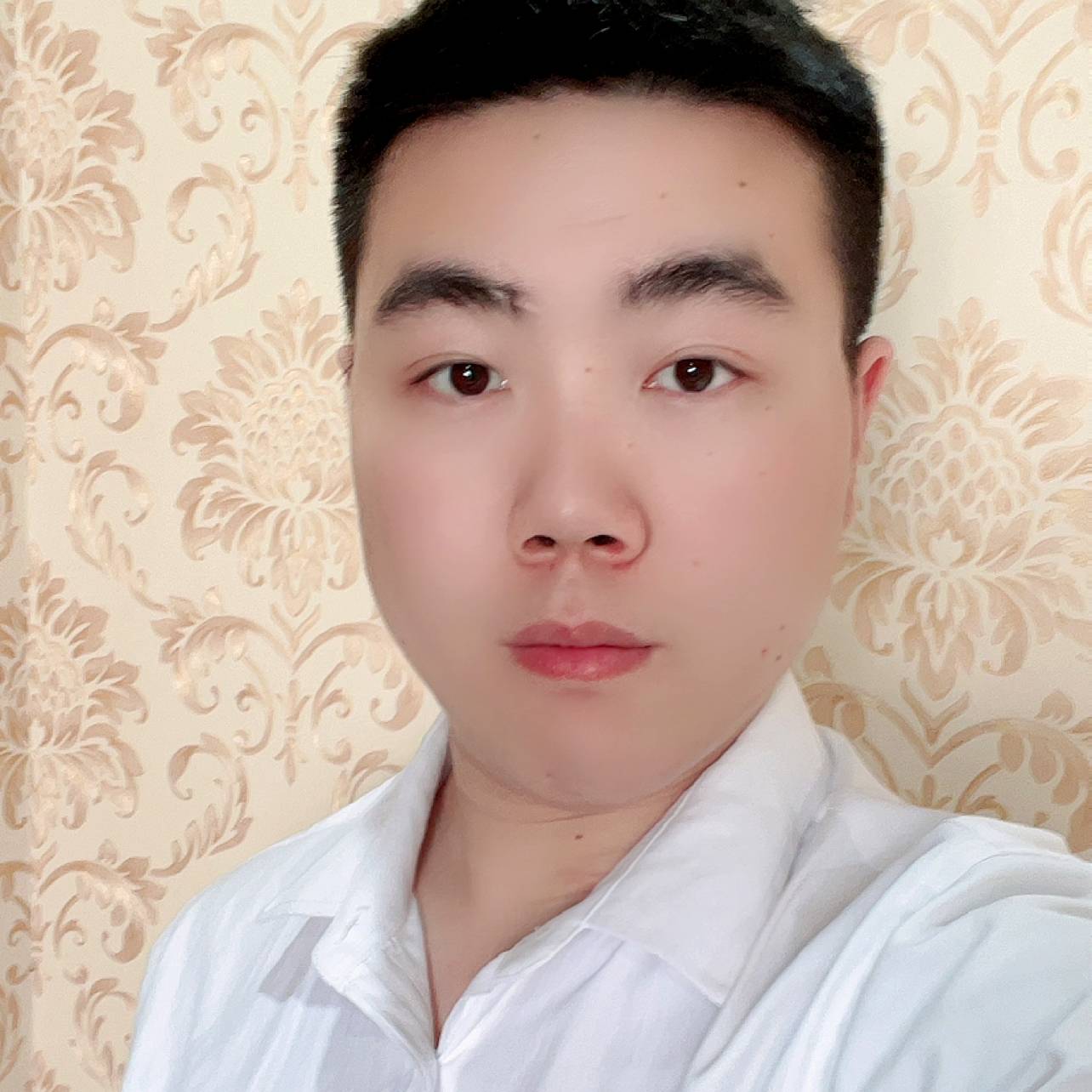 泪雨蹁跹追寻的照片