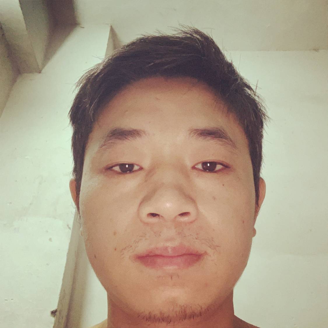 威武保卫小海豚的照片