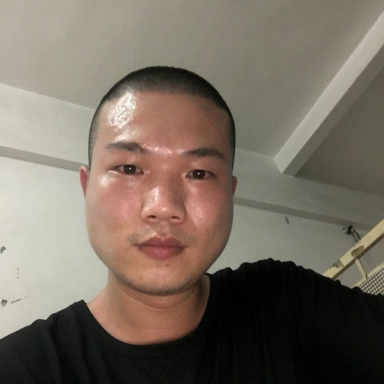 闪闪单身花瓣的照片