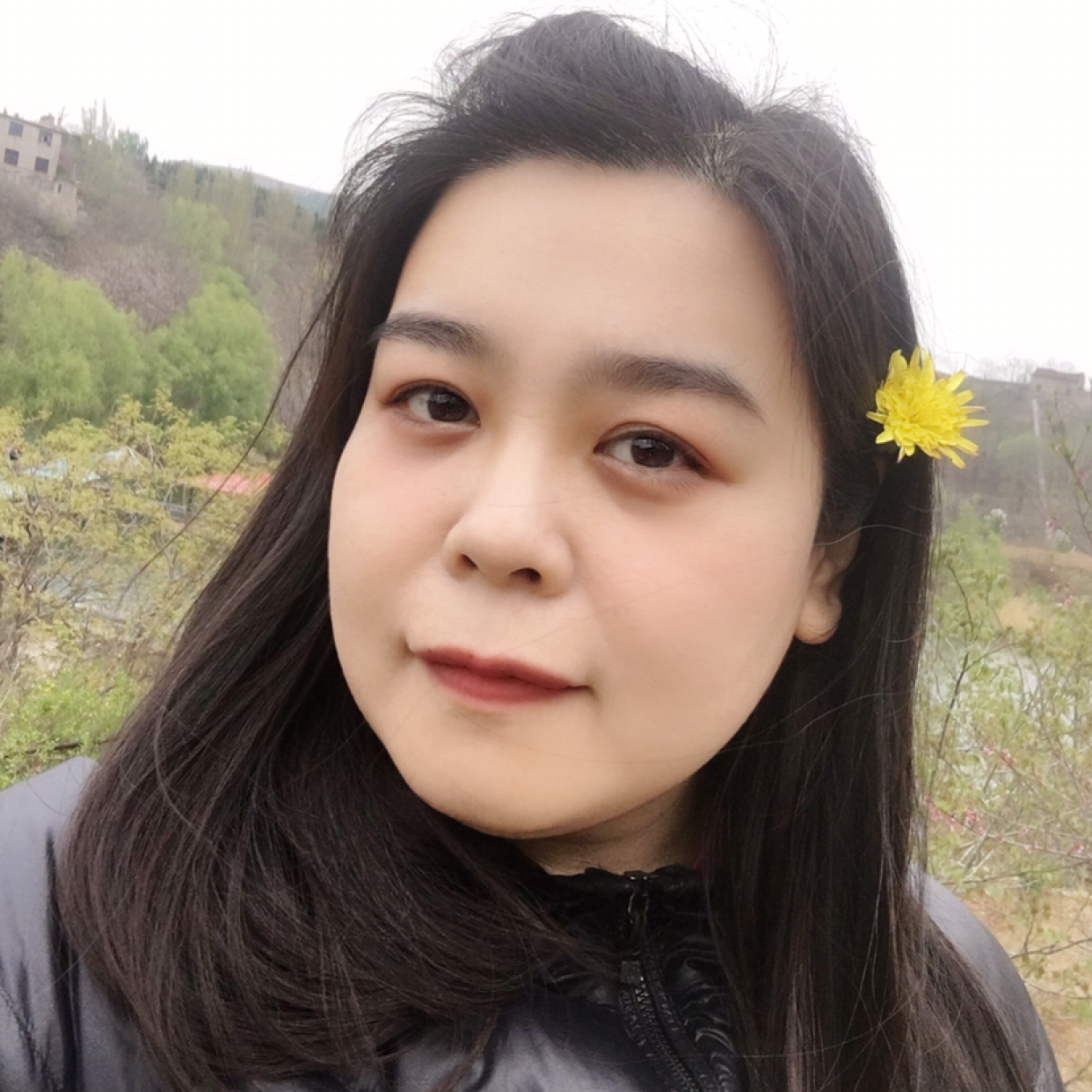 吃草的胖嘟嘟的照片