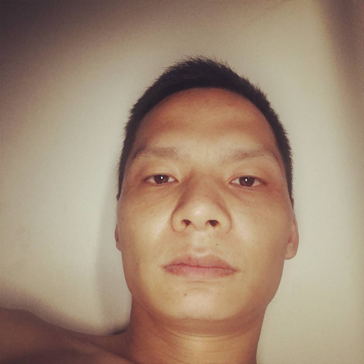 蝶舞欣喜487的照片