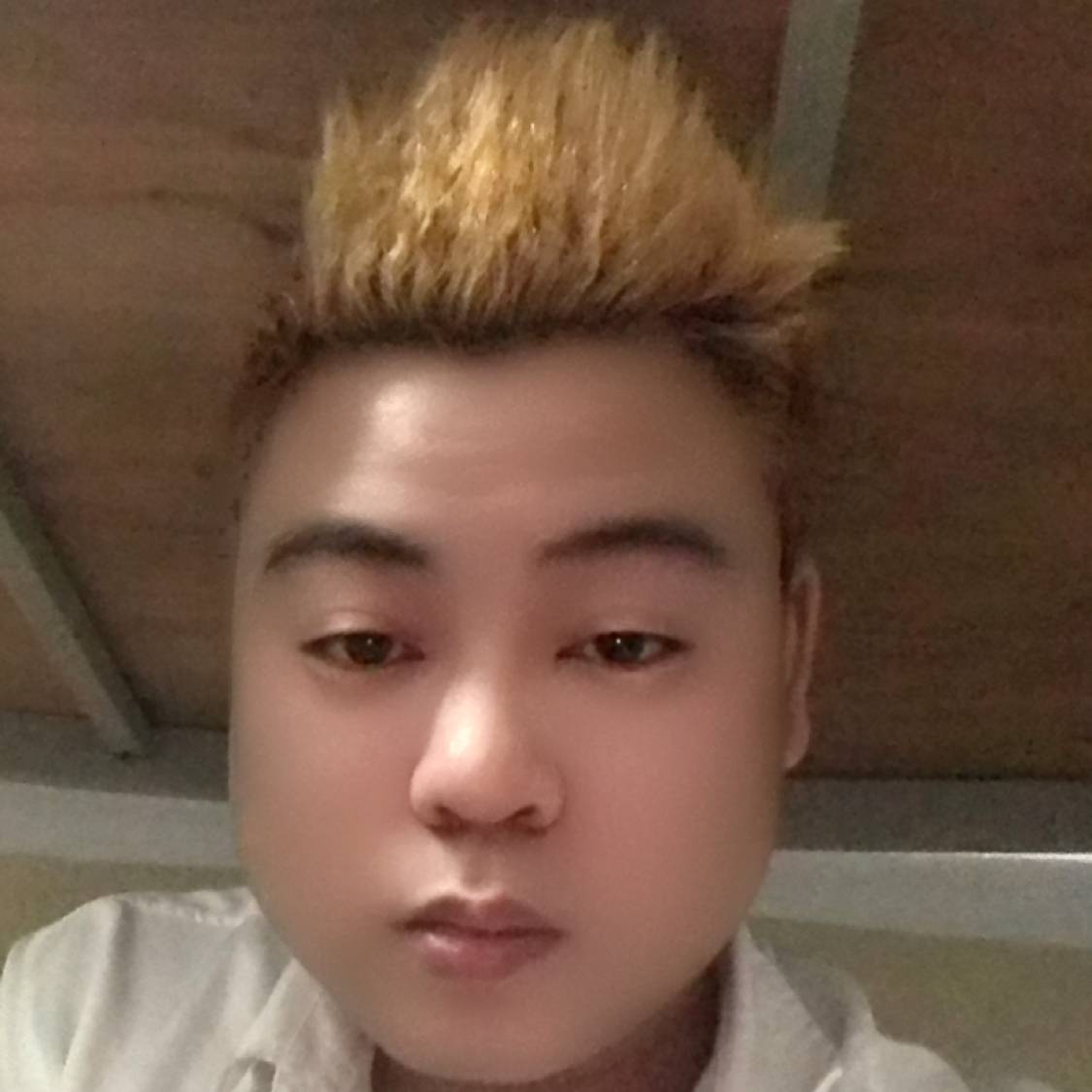 超级仙人掌??的照片