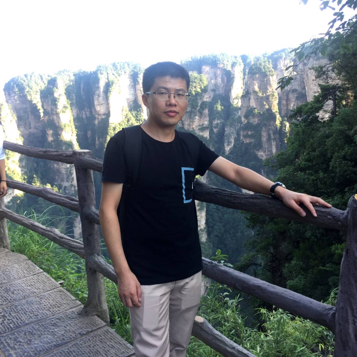 门前一颗树的照片