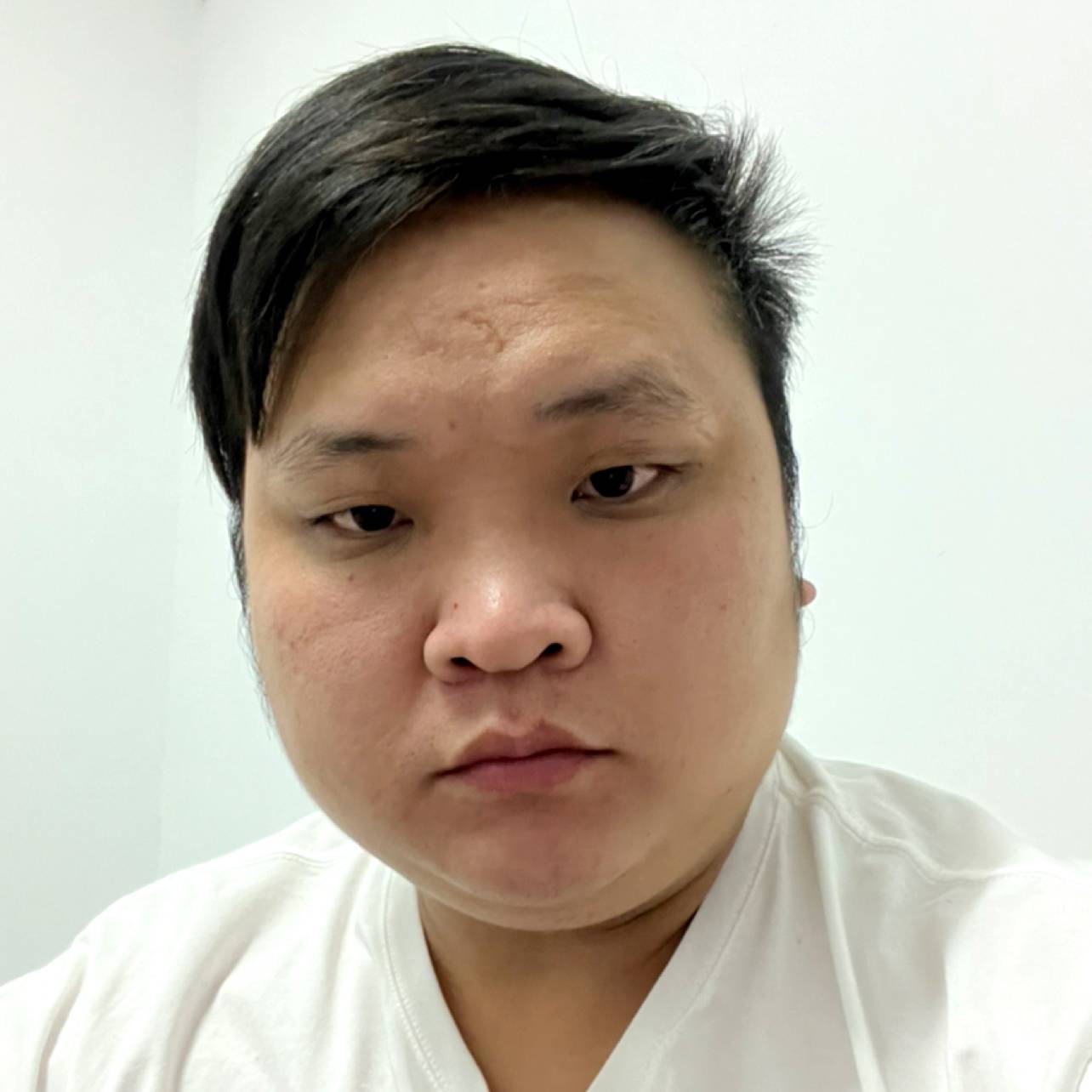 老鼠改变现代的照片