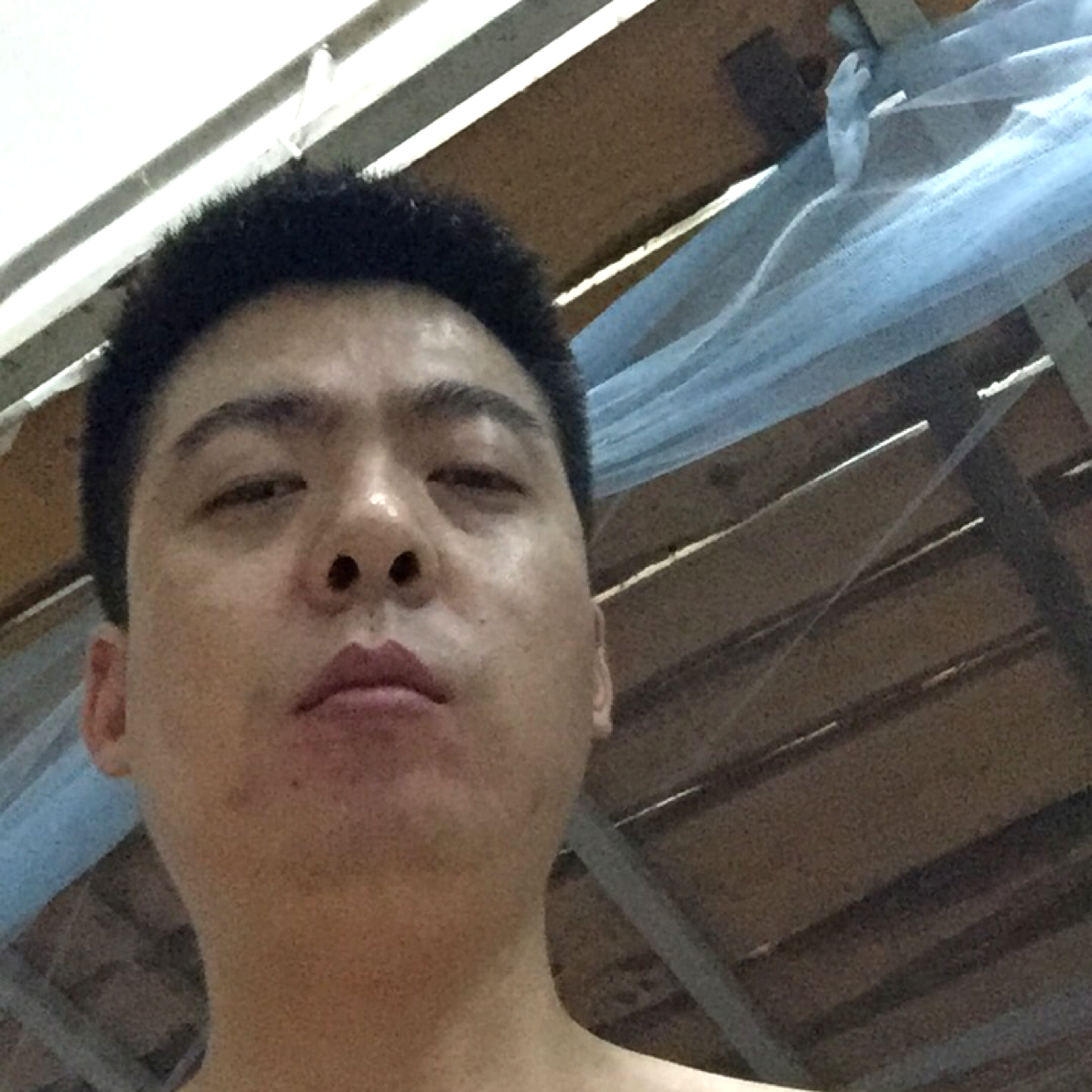 哈密瓜踢隐形的照片