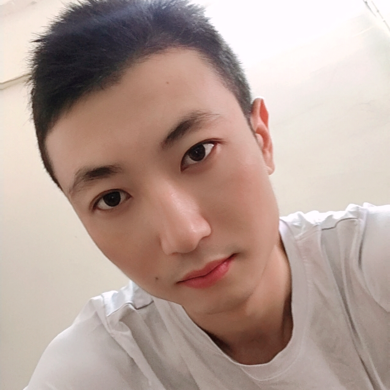 翅膀给无情的照片