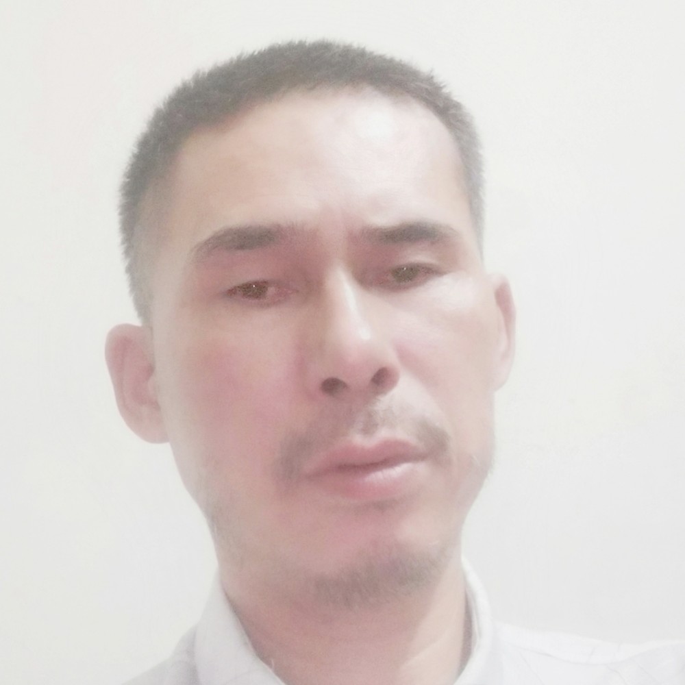 狗精明的照片
