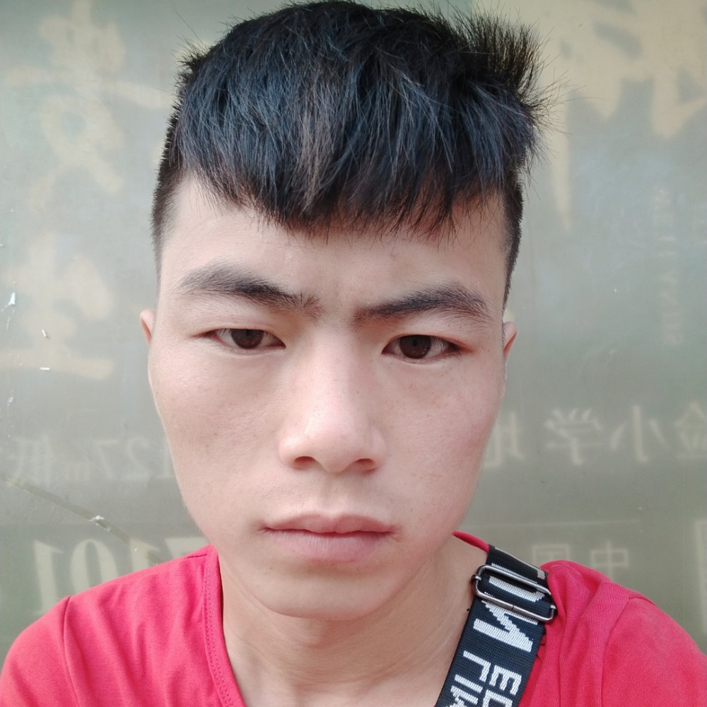淡定鲜花的照片