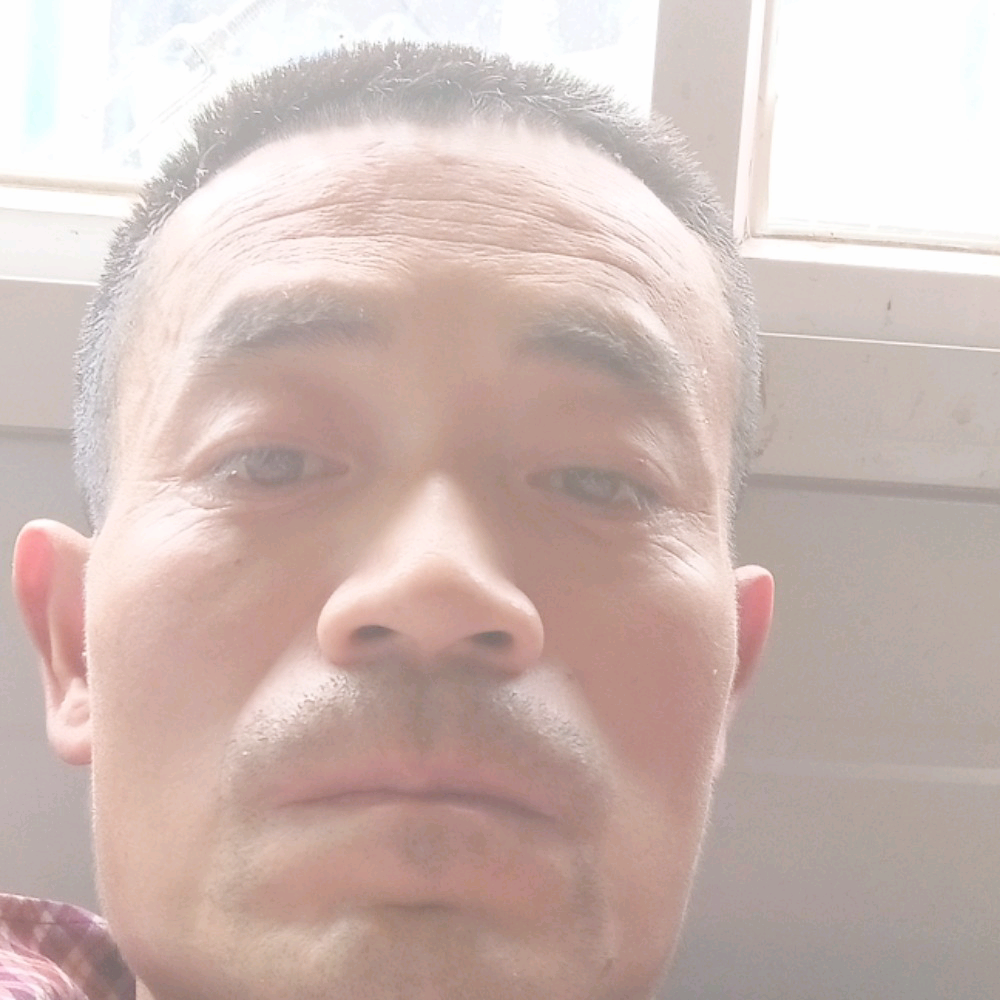 334434天天开心的照片