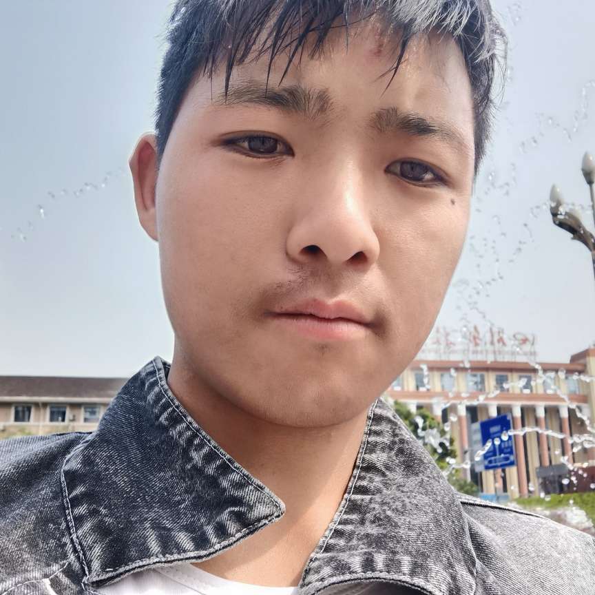 白猫高贵的照片