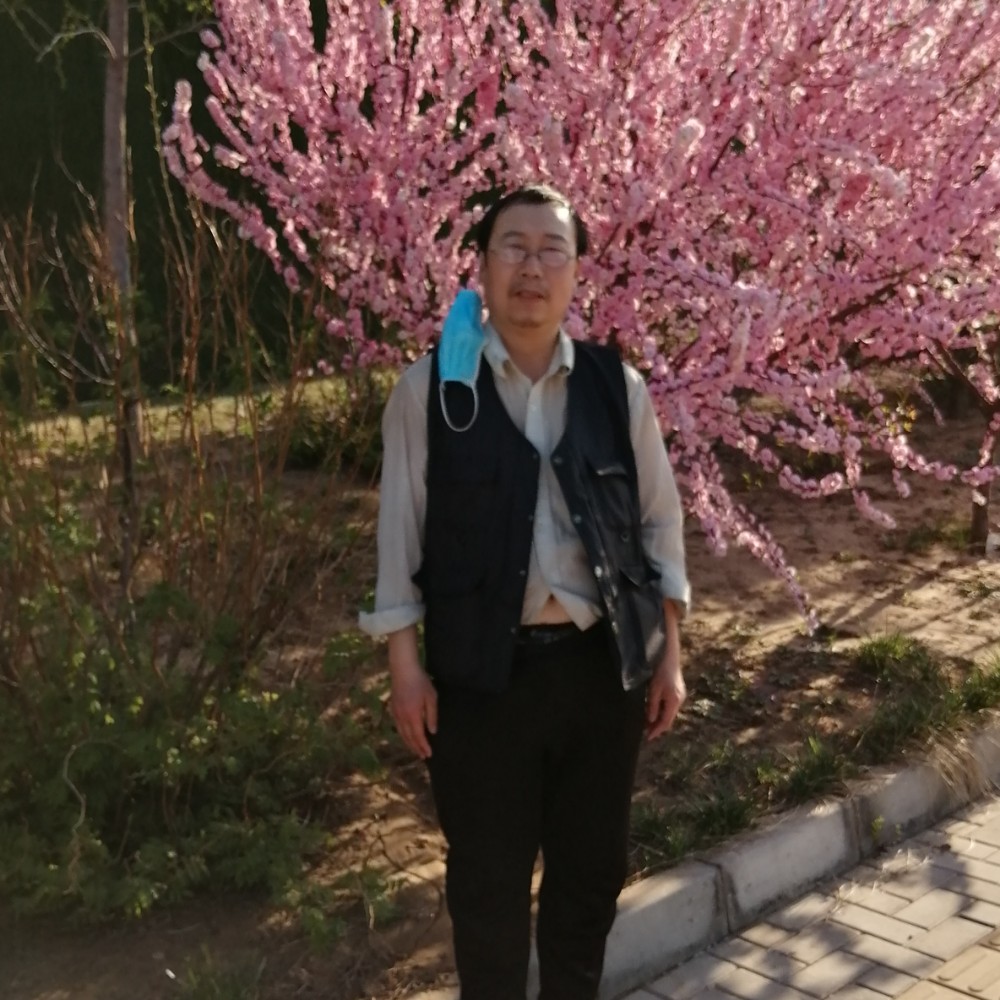 中华立新law的照片