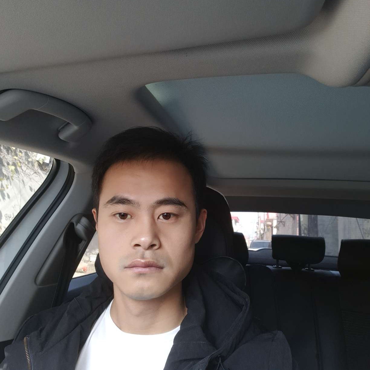 甜美改变仙人掌的照片