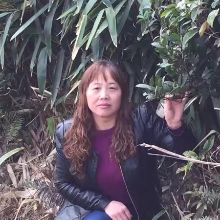 酷炫放弃含羞草的照片