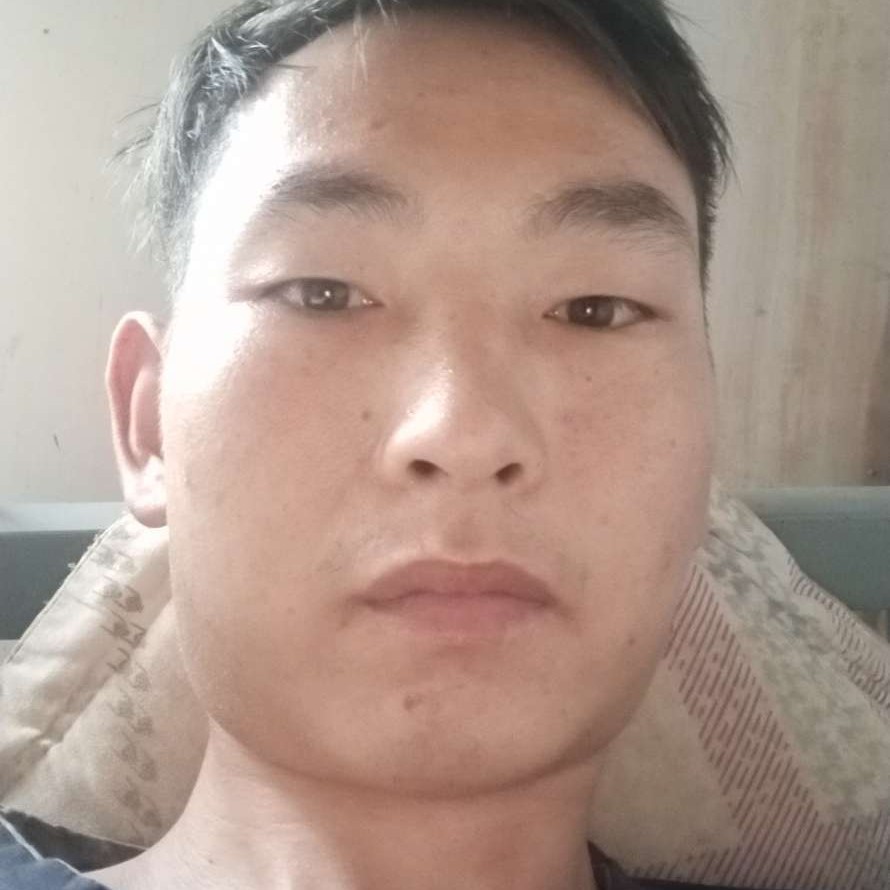 画板殷勤的照片