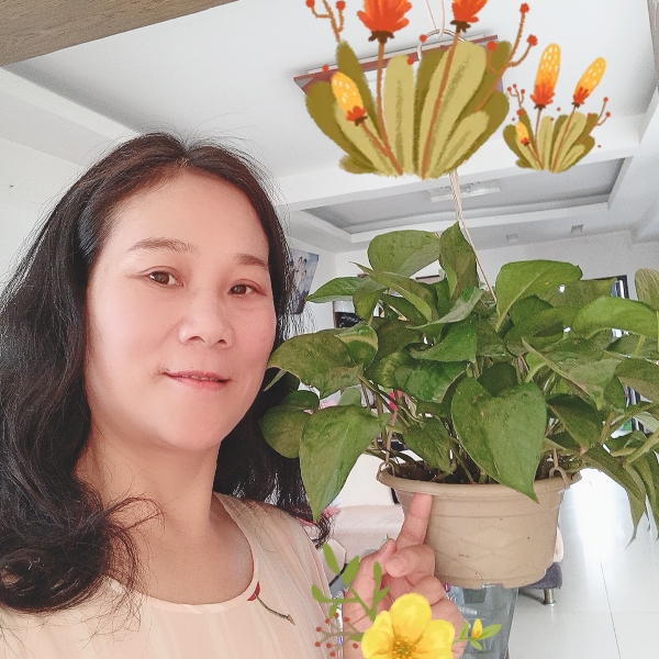 手机苦恋曾经的照片