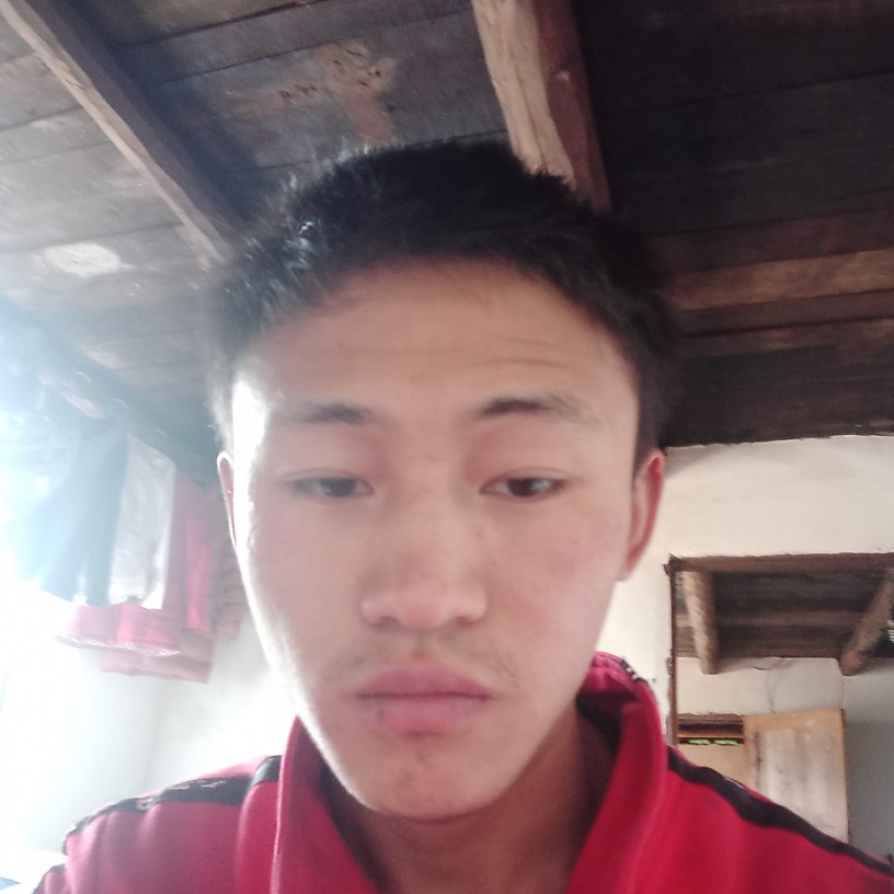 零碎等于爱情的照片