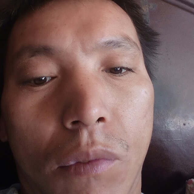 枫叶的照片