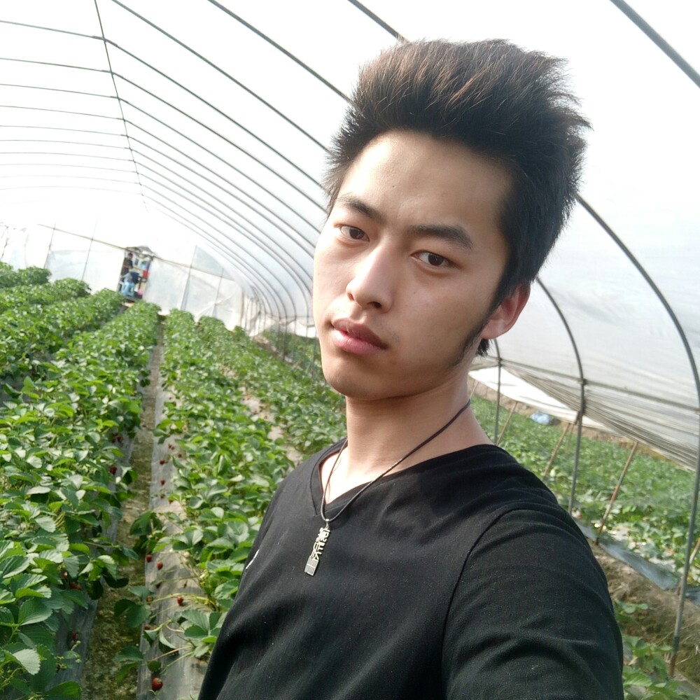 都说她是梦的照片