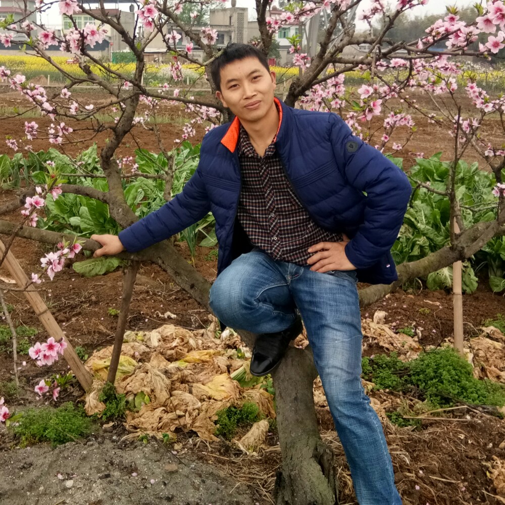 辛福恋人的照片