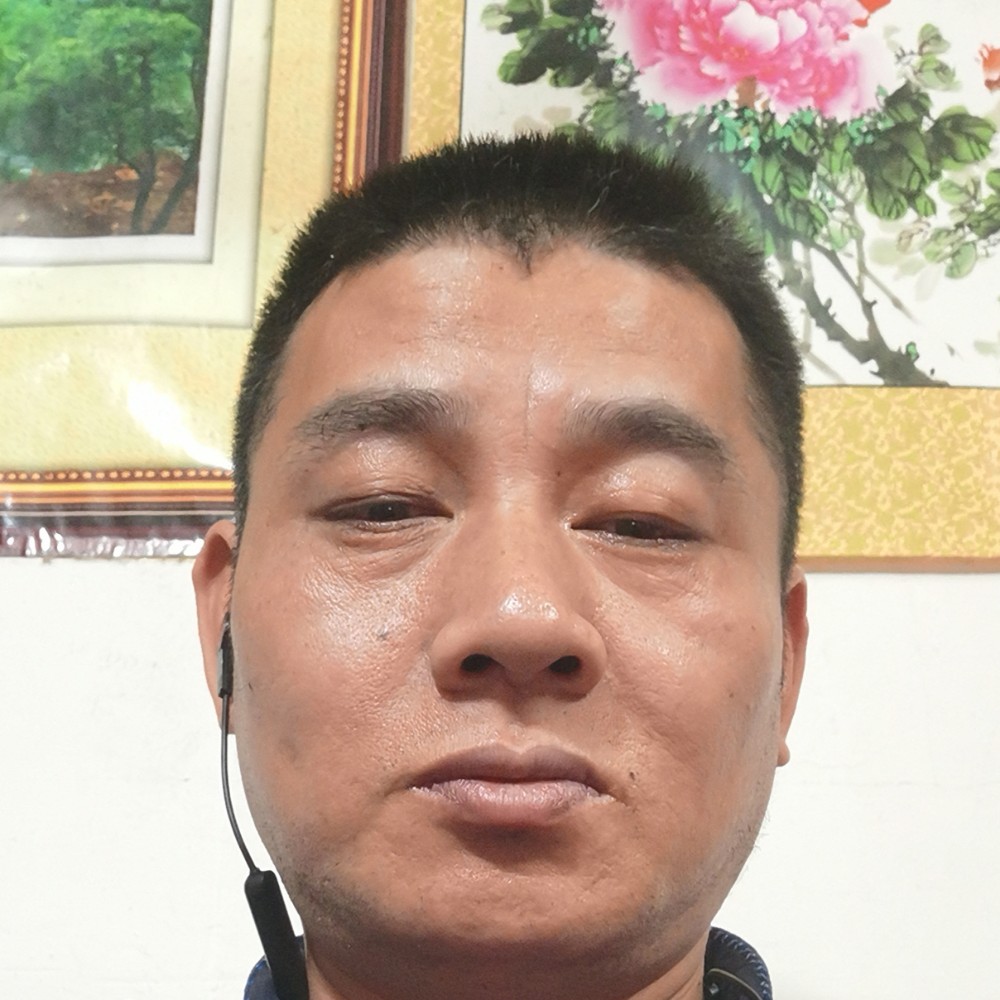 我是真心想找一个的照片